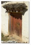 Frame_IMG_8014 e
