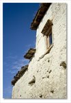 Frame_IMG_8016 e