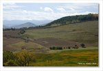 Frame_IMG_8027 e