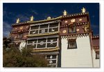 Frame_IMG_8029 e