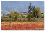 Frame_IMG_8092 e