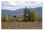 Frame_IMG_8096 e