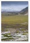 Frame_IMG_8118 e