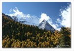Frame_IMG_8302 e
