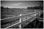 _DSC3018