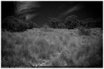 _DSC3050