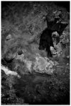 _DSC3061