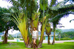 DSC_8983_Yan-by-Aaron_