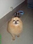 DSC02892
