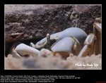 20080914125W