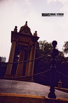 F1150029_resize
