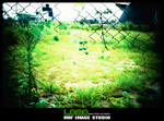 00017_resize