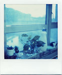 aster_photo04