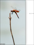 Relaxing_38
