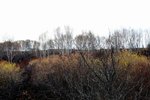 IMG_2670