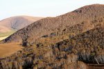 IMG_3034