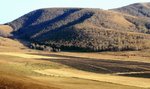 IMG_3037