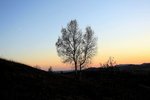 IMG_3116