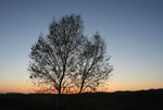 IMG_3129