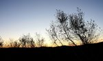 IMG_3162
