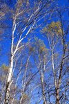 IMG_3449