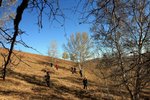 IMG_3489