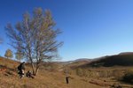IMG_3490