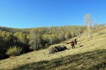 IMG_3511