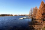 IMG_3722