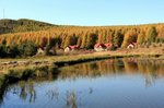 IMG_3855