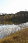 IMG_4731