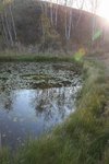 IMG_4839