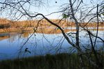 IMG_4860