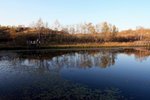 IMG_4863