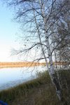 IMG_4865
