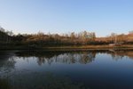 IMG_4867