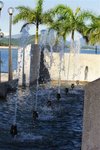 IMG_1810