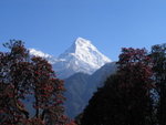 IMG_6828