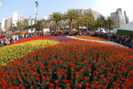 Flower 2008 - 10