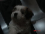 DSC02194