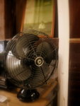 �j�Ѫ������O��v���n�ؼ�