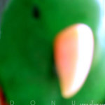 �V��Album