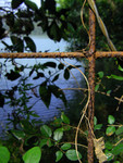 20040430-1