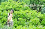 DSC_8860cc