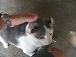 DSCN1710