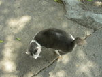DSCN1711
