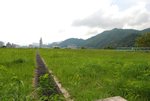 DSC_4917s