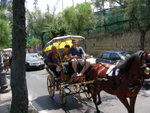 ���� local tour �r�A���Y�d��o�[�n�I