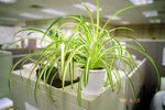2k50609_009a