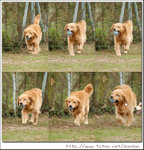 running